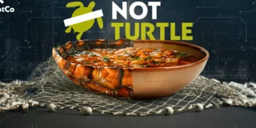 prato à base de tartaruga, receita 100% vegetal, versão vegetal